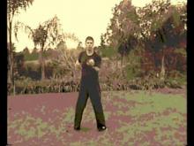Embedded thumbnail for Wing Chun old tape