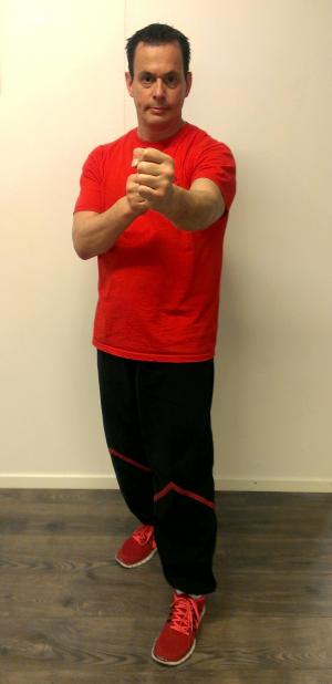 Sifu Bradford Wohlner