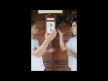 Embedded thumbnail for WING CHUN FAMILY ROTHER - BRAZIL