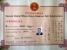 Master's Diploma, Ip Man Wing-Chun, Samuel Kwok Lineage