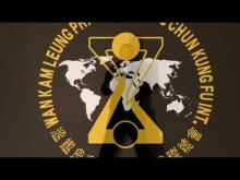 Embedded thumbnail for Wan Kam LeungPractical Wing Chun SiFu Veka