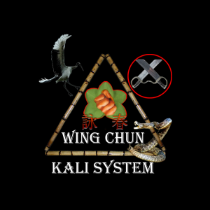 Wing Chun Kali System Houston, Tx